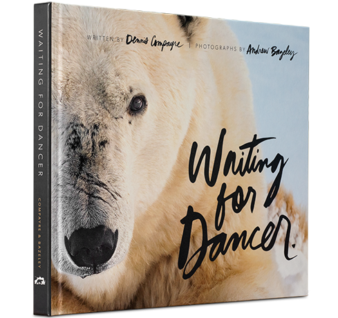 waiting for dancer book